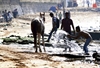 A horse is given a shower by his caretaker to fight the rising heat at Dadar Chowpatty 