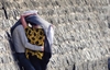 A  couple covers themselves with a dupatta to create a shade